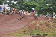 DSC01983 (4)